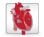 icon-cardiac
